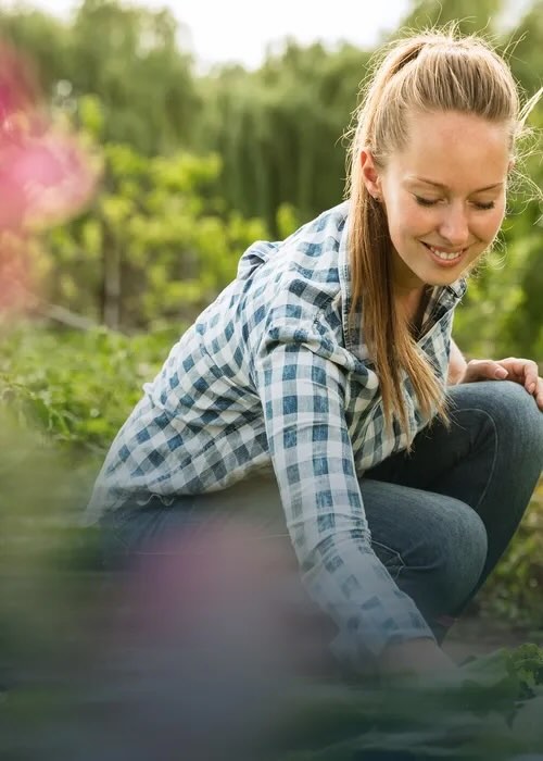 Landwirtschaft & Lebensmittel